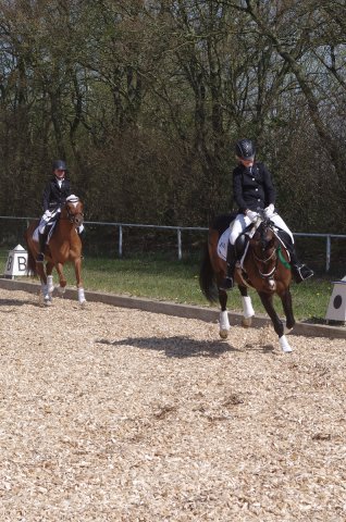 Reitertag_2019
